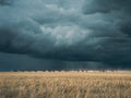 Before the Squall, solo
