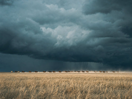 Before the Squall, solo