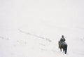 Rider in the Whiteout, solo