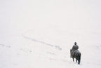 Rider in the Whiteout, solo