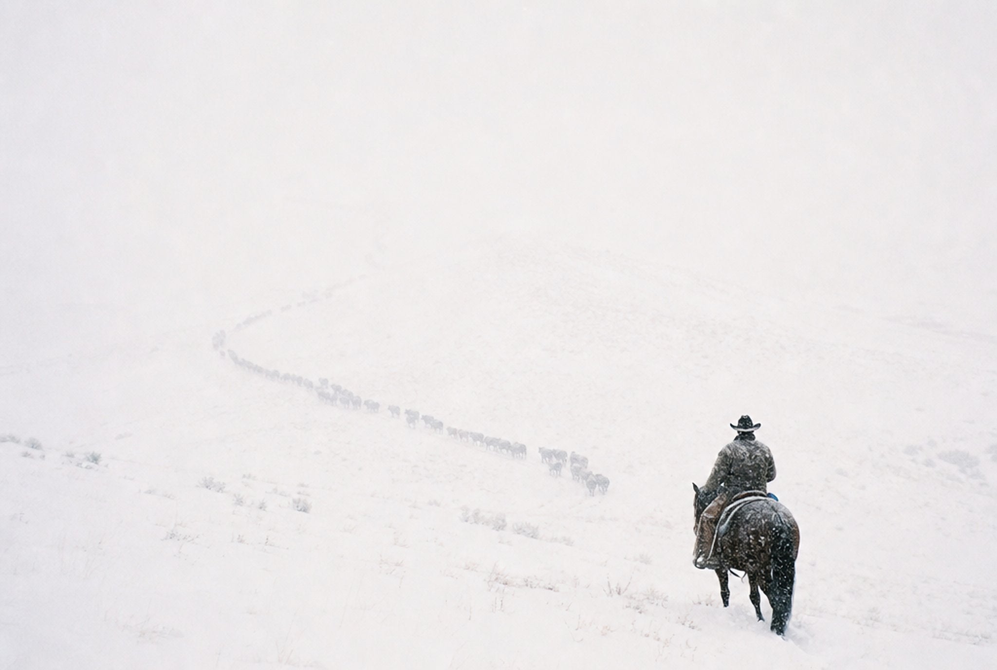 Rider in the Whiteout, solo