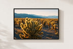 Cholla Gold, framed