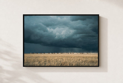 Before the Squall, framed