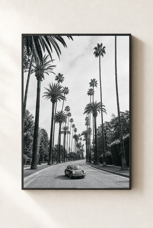 Beverly Palms, framed