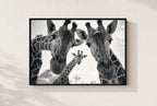 Two Necks, One Secret, framed