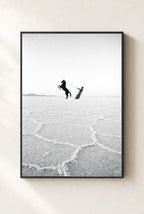 Horse on the Salt Flats, framed