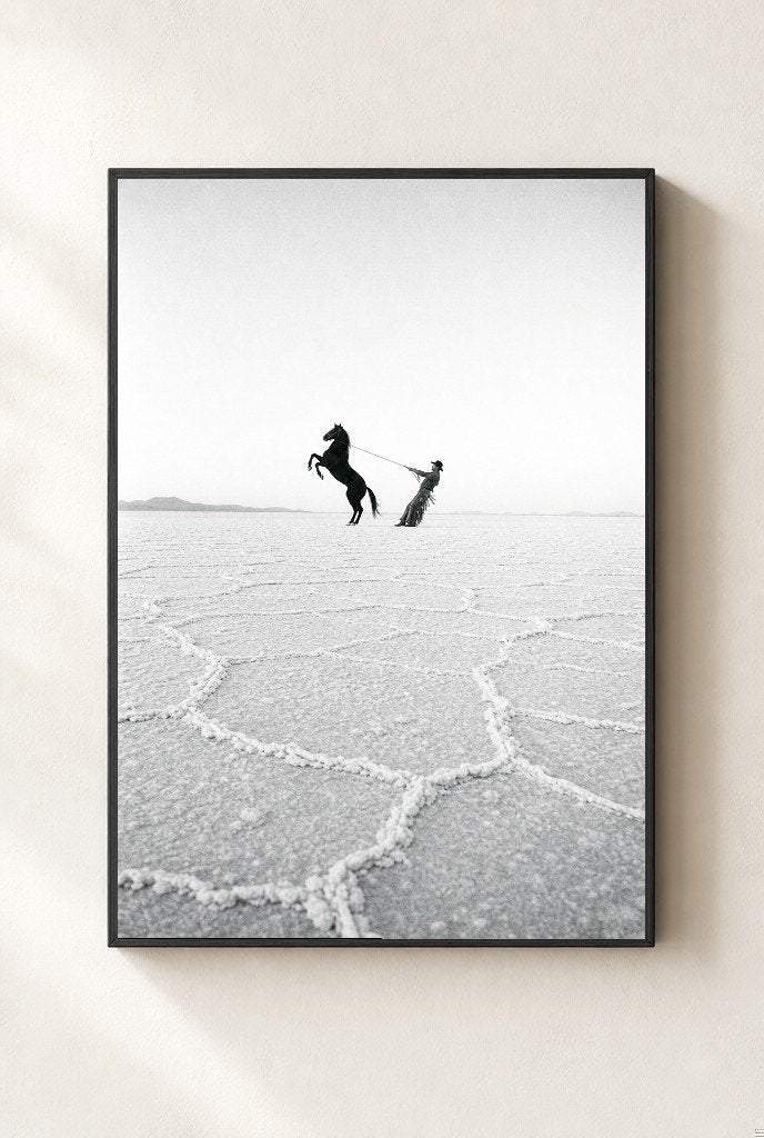 Horse on the Salt Flats, framed