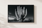 Old Giant, framed