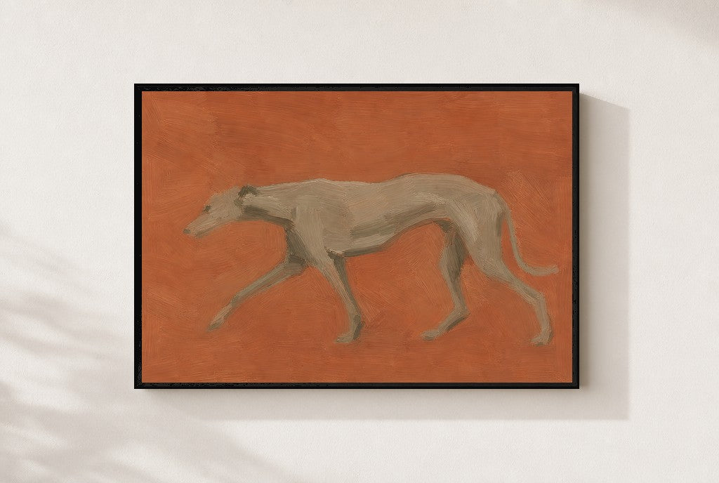 Flat Greyhound, framed close-up, black
