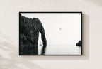 Sea Arch, One Bird, framed
