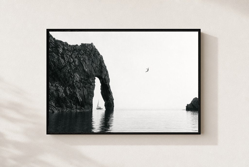 Sea Arch, One Bird, framed