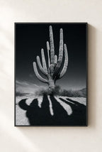 Cactus Noir, framed