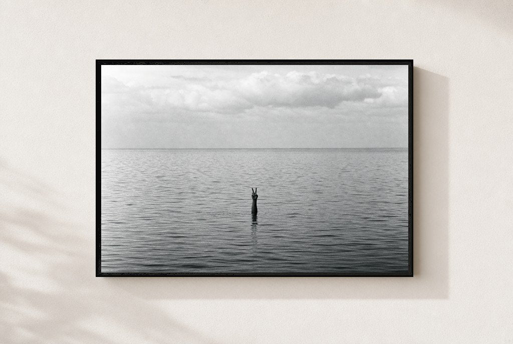 Two Up From the Deep, framed