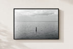 Two Up From the Deep, framed