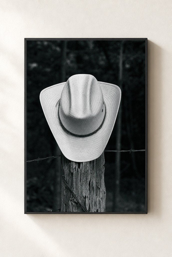 Hat on a Fencepost, framed
