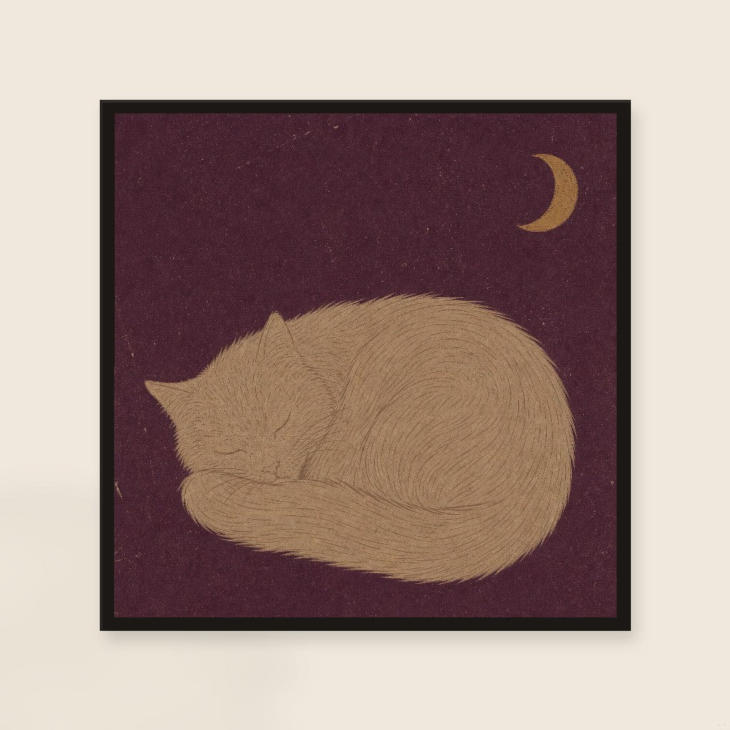 The Cat Knows, framed close-up, black