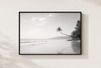 The Leaning Palm, framed