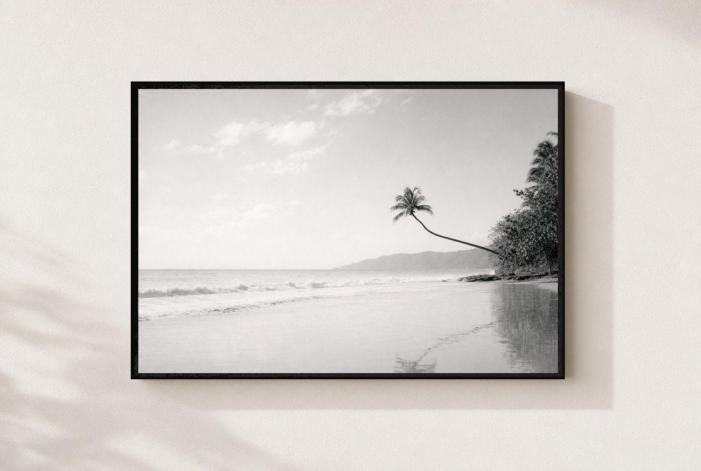 The Leaning Palm, framed