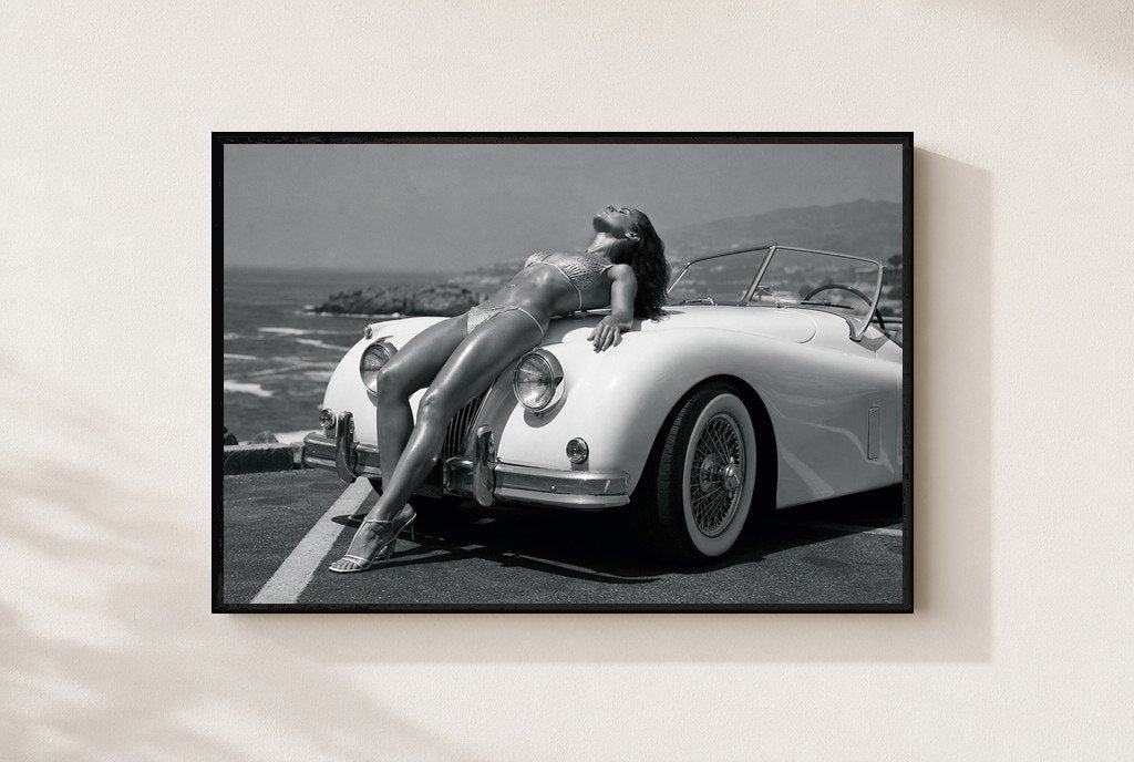 Roadster, Coastline, framed