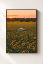 Hidden in the Sunflowers, framed