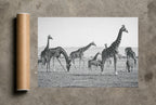 The Tall and the Striped, print and shipping tube
