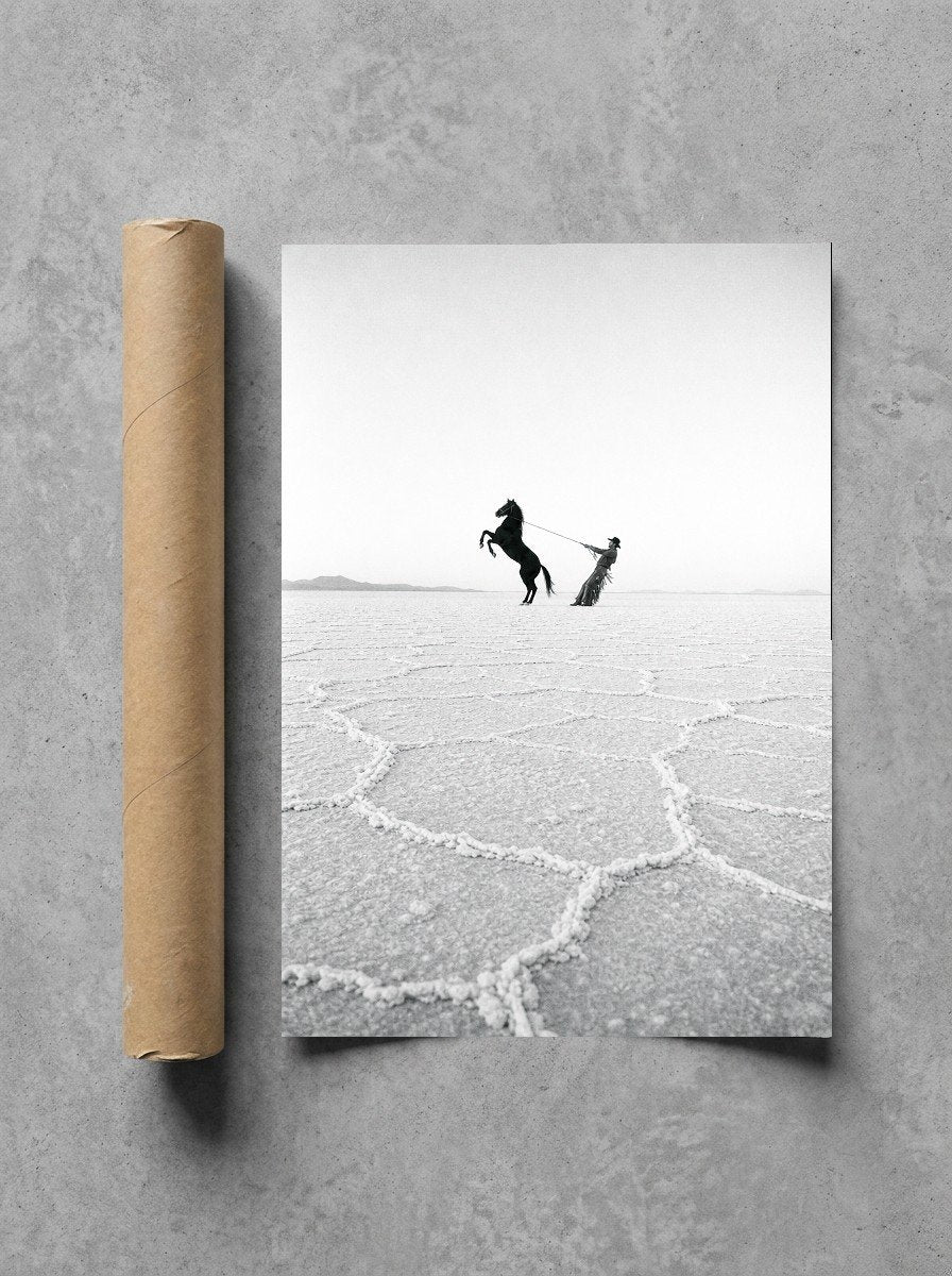 Horse on the Salt Flats, print and shipping tube