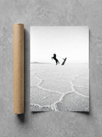 Horse on the Salt Flats, print and shipping tube