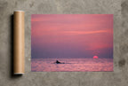 Swim at Sundown, print and shipping tube