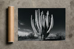 Old Giant, print and shipping tube
