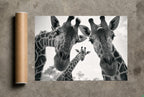 Two Necks, One Secret, print and shipping tube