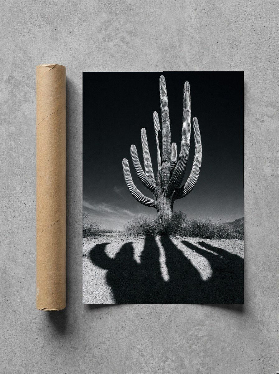 Cactus Noir, print and shipping tube