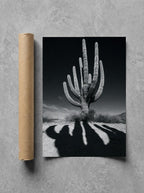 Cactus Noir, print and shipping tube