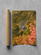 The Long Way, print and shipping tube