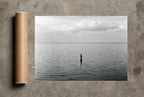 Two Up From the Deep, print and shipping tube