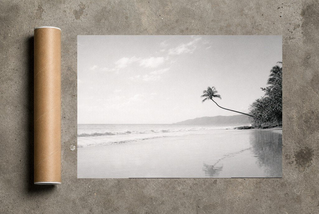 The Leaning Palm, print and shipping tube