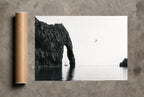 Sea Arch, One Bird, print and shipping tube