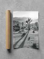 Long Shadows, Joshua Tree, print and shipping tube