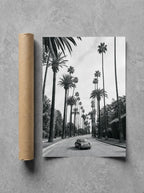 Beverly Palms, print and shipping tube