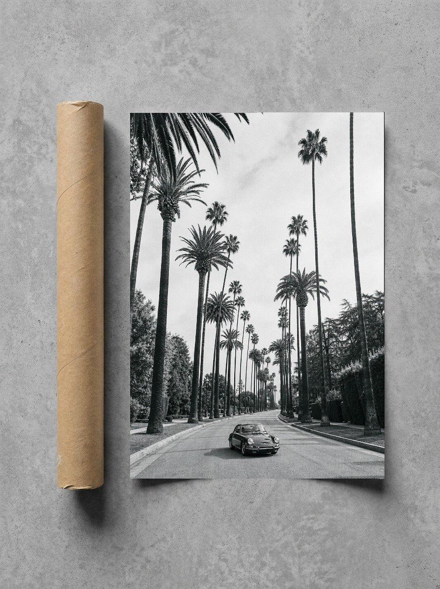 Beverly Palms, print and shipping tube