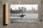 Gone at a Gallop, print and shipping tube