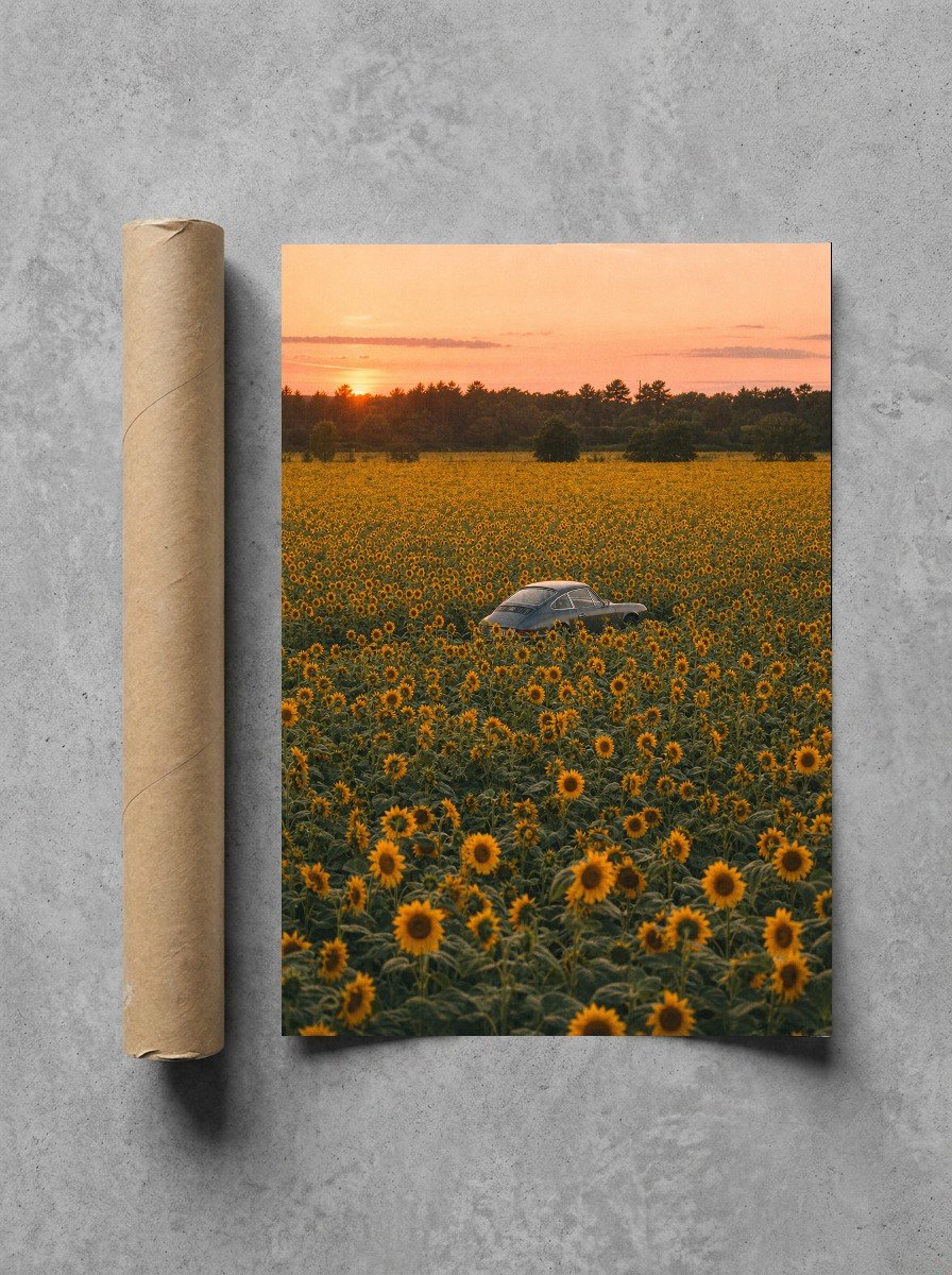 Hidden in the Sunflowers, print and shipping tube