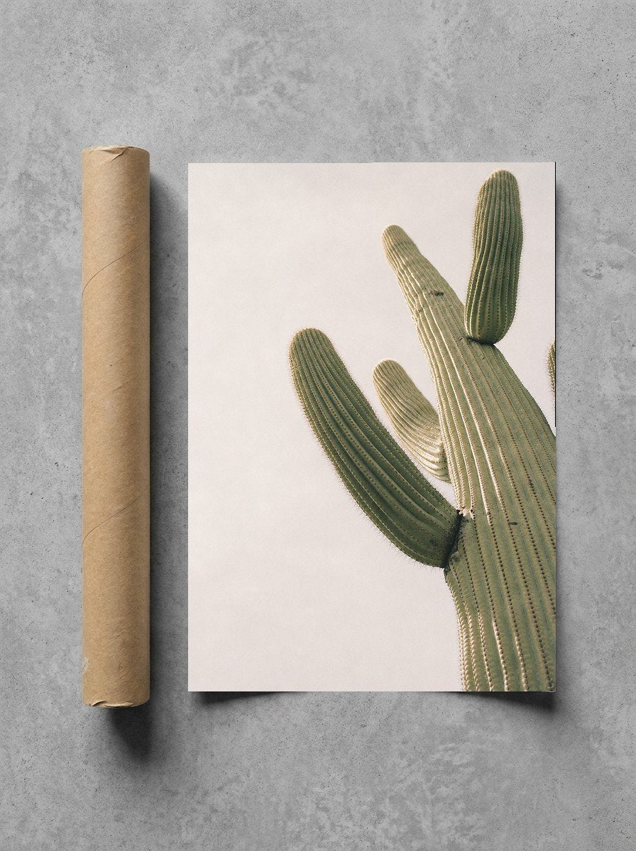 Saguaro, Up Close, print and shipping tube