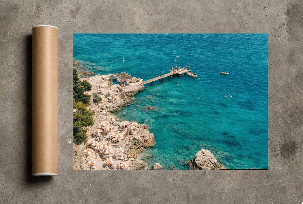 The Swimming Cove, print and shipping tube