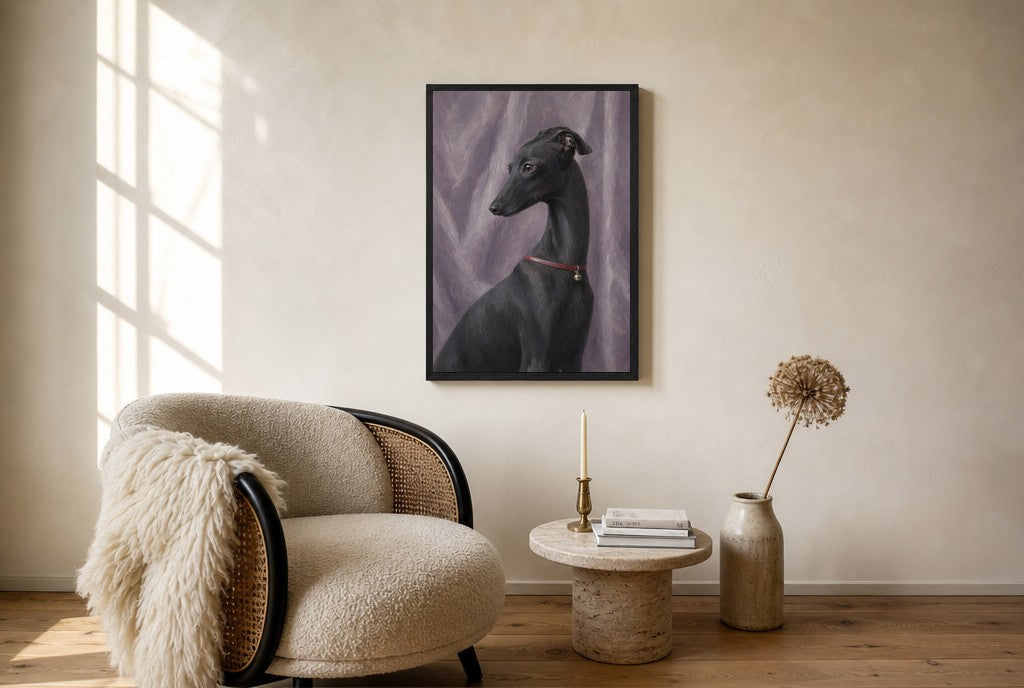 Oversized Black Greyhound, Red Collar leaning at the baseboard of a sunlit living room.