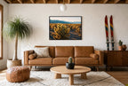 Cholla Gold, styled room