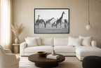 The Tall and the Striped, living room