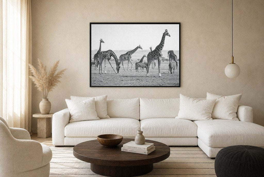 The Tall and the Striped, living room