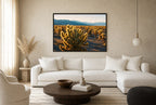 Cholla Gold, living room