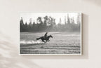 Gone at a Gallop, framed, white