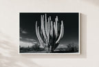 Old Giant, framed, white